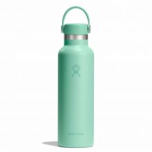 Hydro Flask Standard Flex Cap Μπουκάλι Θερμός Ανοξείδωτο BPA Free 621ml Mermaid Green |  στο MrBag.gr