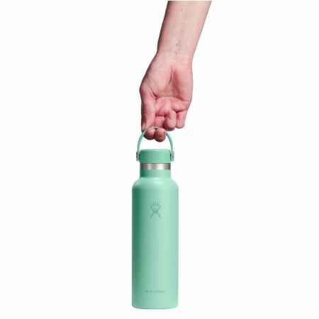 Hydro Flask Standard Flex Cap Μπουκάλι Θερμός Ανοξείδωτο BPA Free 621ml Mermaid Green |  στο MrBag.gr